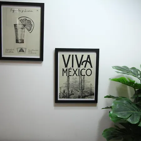 Roma Vista Loft- Oasis En El Corazon De La Roma Apartment