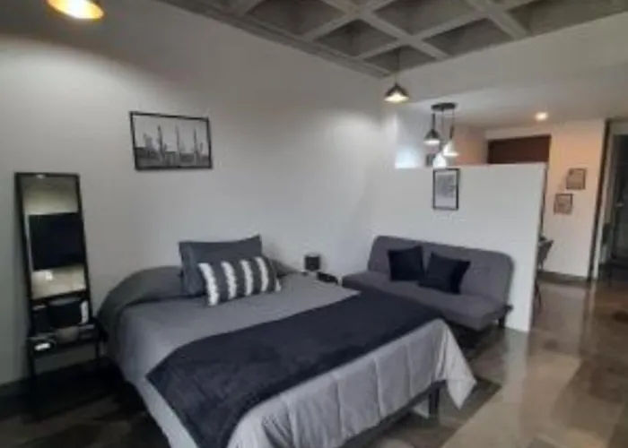 Roma Vista Loft- Oasis En El Corazon De La Roma