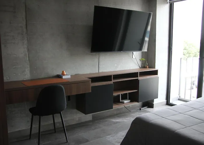 Roma Vista Loft- Oasis En El Corazon De La Roma Apartment Mexico City
