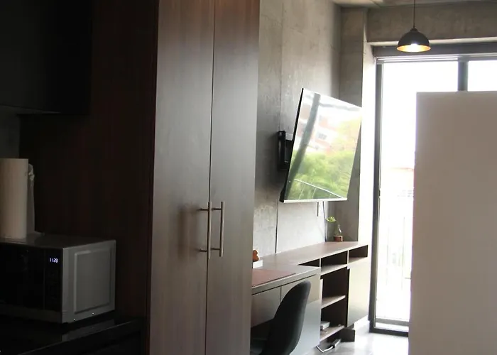 Roma Vista Loft- Oasis En El Corazon De La Roma Apartment