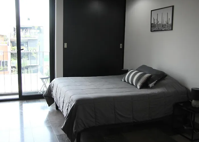 Apartment Roma Vista Loft- Oasis En El Corazon De La Roma Mexico City