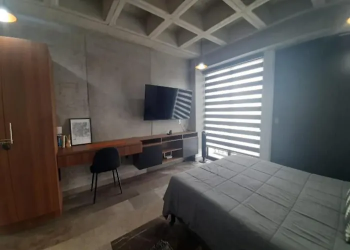 Roma Vista Loft- Oasis En El Corazon De La Roma